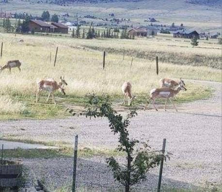 193 Tobe Rd, Ennis, MT 59729 - view of yard featuring a view of countryside