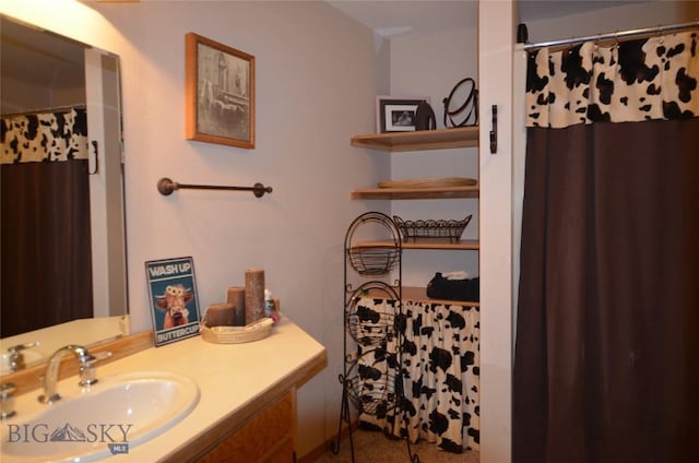 155 Moose Run, Polaris, MT 59746 - full bath featuring vanity and a shower with curtain
