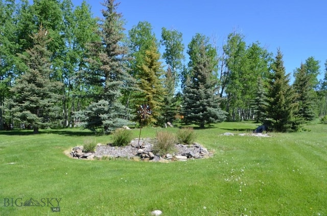 155 Moose Run, Polaris, MT 59746 - view of grassy yard