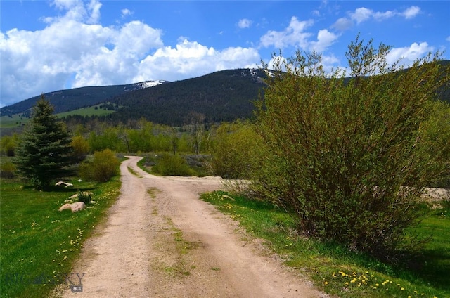 155 Moose Run, Polaris, MT 59746 - view of mountain backdrop