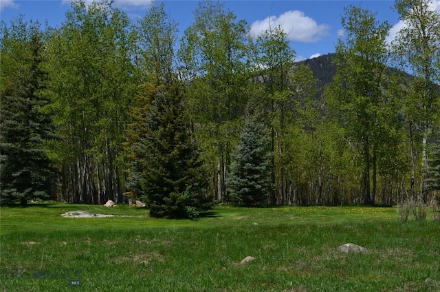 155 Moose Run, Polaris, MT 59746 - view of yard featuring a forest view and a mountain view