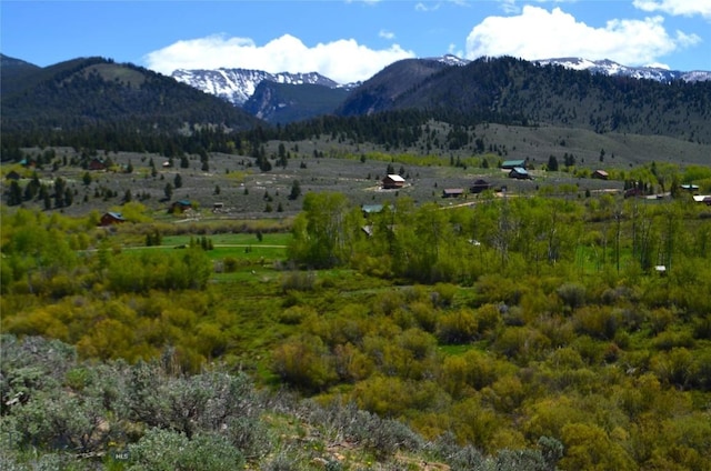 155 Moose Run, Polaris, MT 59746 - mountain view