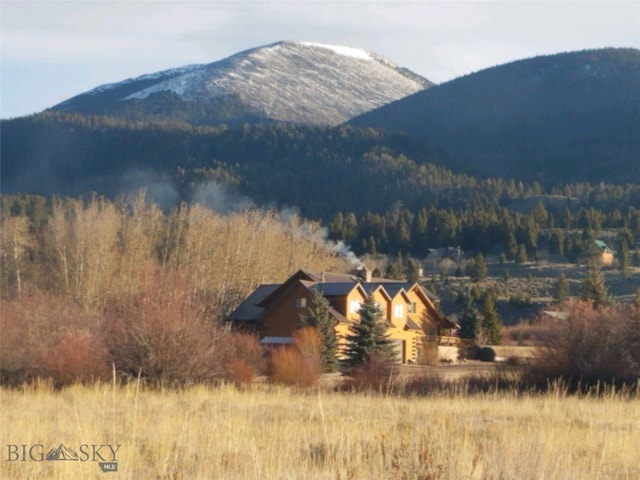 155 Moose Run, Polaris, MT 59746 - view of mountain backdrop with a heavily wooded area