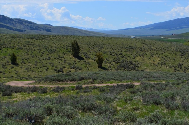 155 Moose Run, Polaris, MT 59746 - mountain view