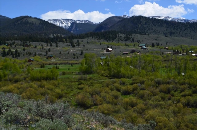 155 Moose Run, Polaris, MT 59746 - view of mountain backdrop