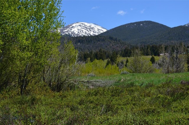 view of mountain feature