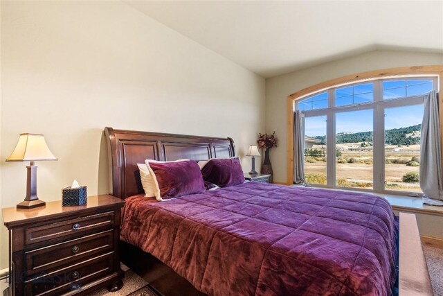 carpeted bedroom with lofted ceiling