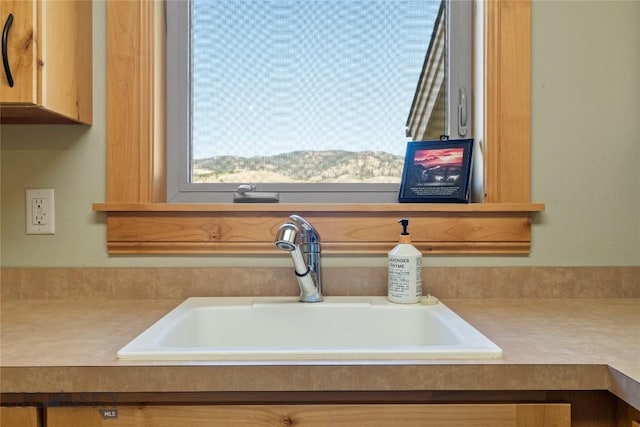 interior details featuring sink