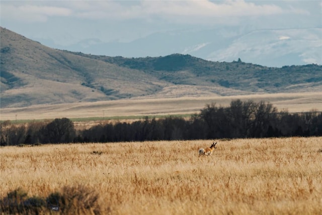 261 Mt Highway 437, Toston, MT 59643