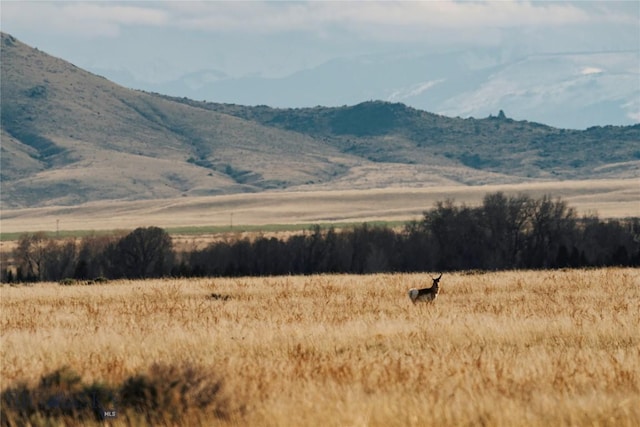 261 Mt Highway 437, Toston, MT 59643