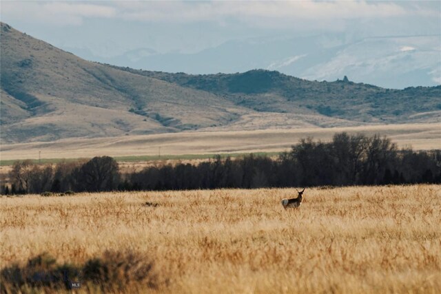261 Mt Highway 437, Toston, MT 59643 - photo 13