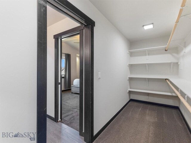 1015 Golden Gate Ave Unit A, Bozeman, MT 59718 - view of storage area