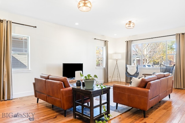 living room with light wood-type flooring