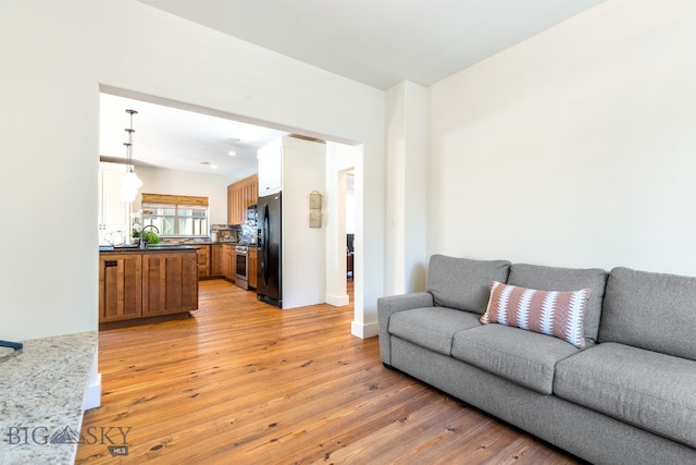 living room featuring sink and light hardwood / wood-style flooring