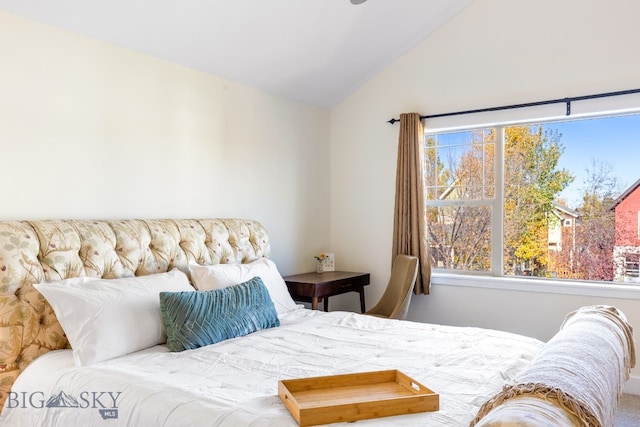 bedroom featuring vaulted ceiling