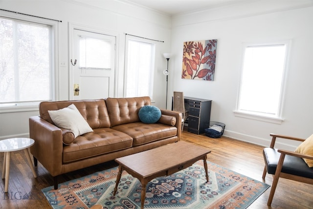 living room with ornamental molding, hardwood / wood-style flooring, and a wealth of natural light