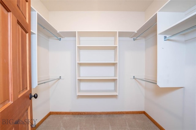 spacious closet with light colored carpet