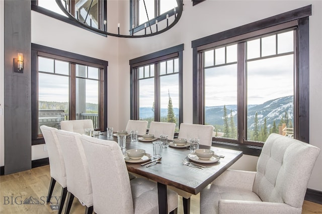 dining area featuring a mountain view, light hardwood / wood-style floors, and a healthy amount of sunlight