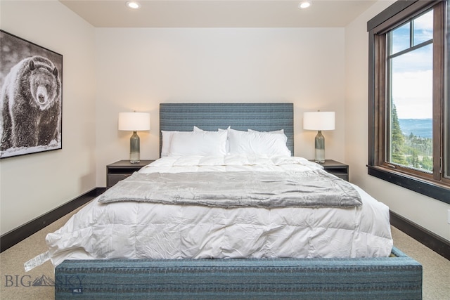 bedroom with carpet floors