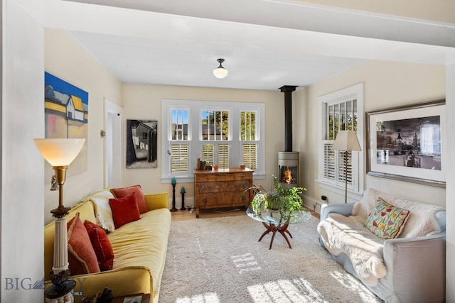 living room featuring a wood stove and hardwood / wood-style floors