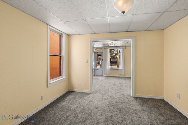 empty room featuring carpet floors and a drop ceiling