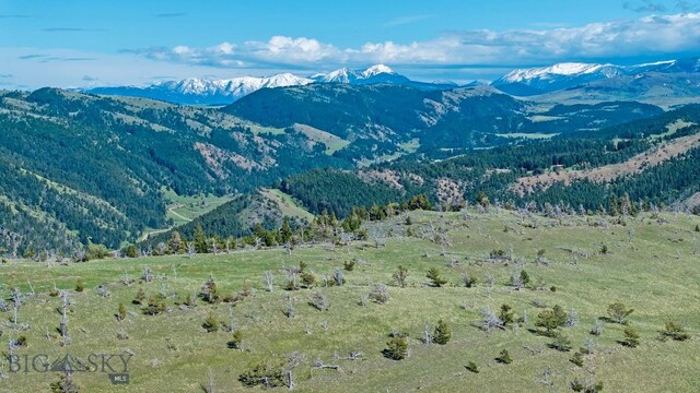 TBT Bruffy, Livingston, MT 59047