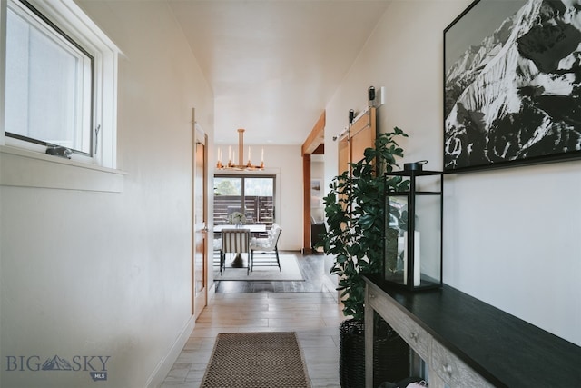 hallway with a barn door, an inviting chandelier, and hardwood / wood-style floors