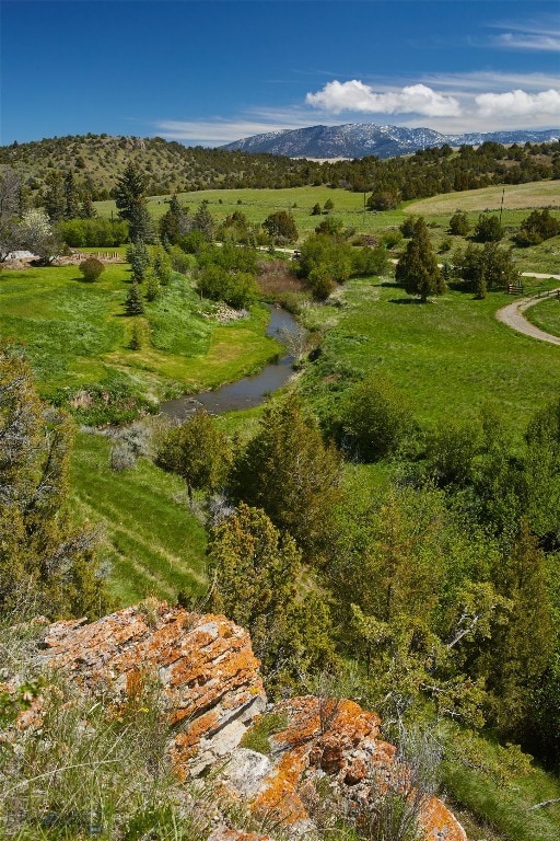 drone / aerial view featuring a mountain view