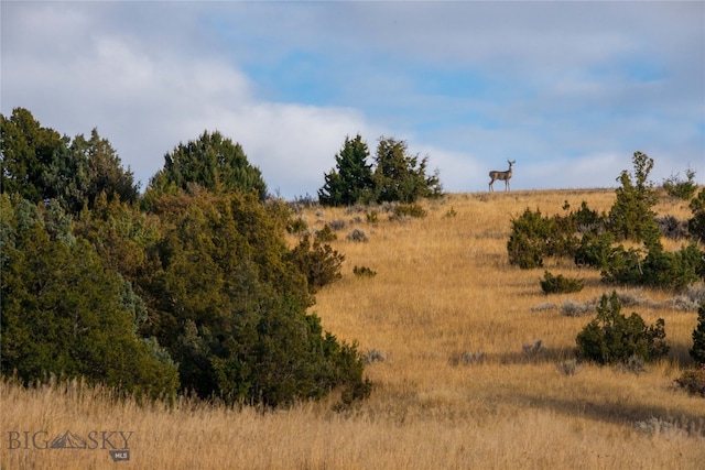 view of landscape