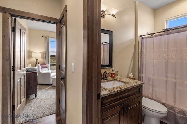 bathroom with a wealth of natural light, vanity, wood-type flooring, and toilet