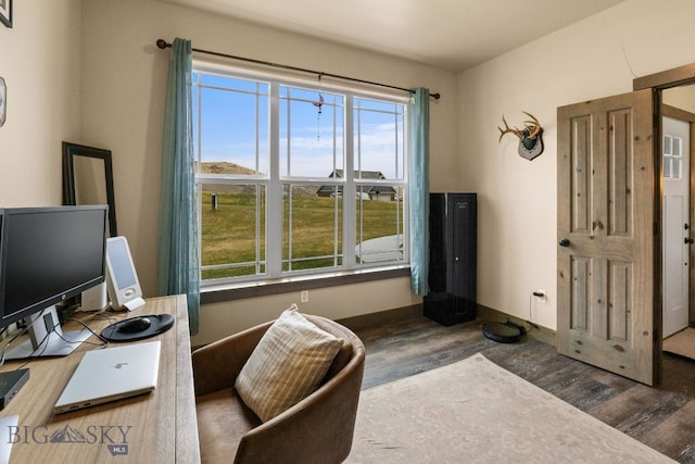 office featuring a wealth of natural light and dark hardwood / wood-style flooring