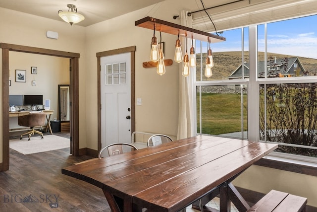 dining room featuring dark hardwood / wood-style flooring