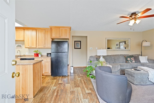 living room with sink, ceiling fan, a textured ceiling, and light hardwood / wood-style floors