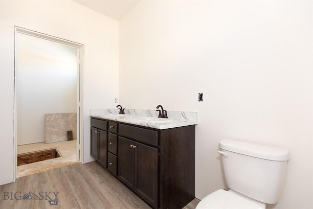 bathroom featuring hardwood / wood-style floors, vanity, and toilet