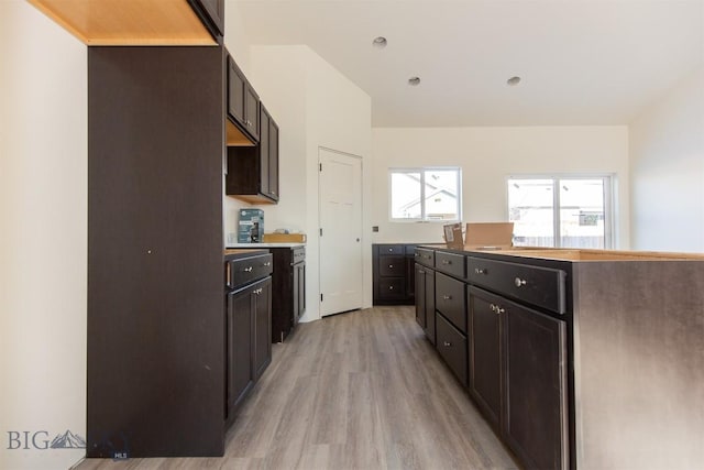 kitchen with dark brown cabinets and light wood-type flooring