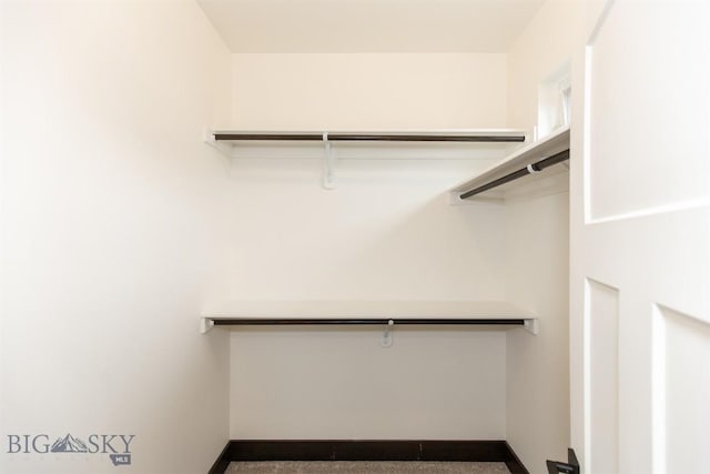 1511 Pistolero Way, Belgrade, MT 59714 - view of spacious closet