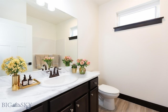1511 Pistolero Way, Belgrade, MT 59714 - bathroom with toilet, healthy amount of natural light, vanity, and wood finished floors