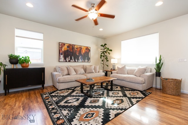 living room featuring ceiling fan and wood-type flooring