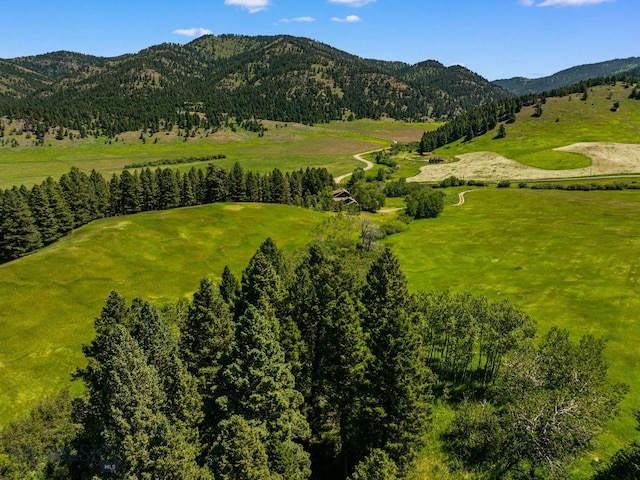 TBD Jackson Creek Rd Parcel B, Unit Parcel B, Bozeman, MT 59715 - photo 10