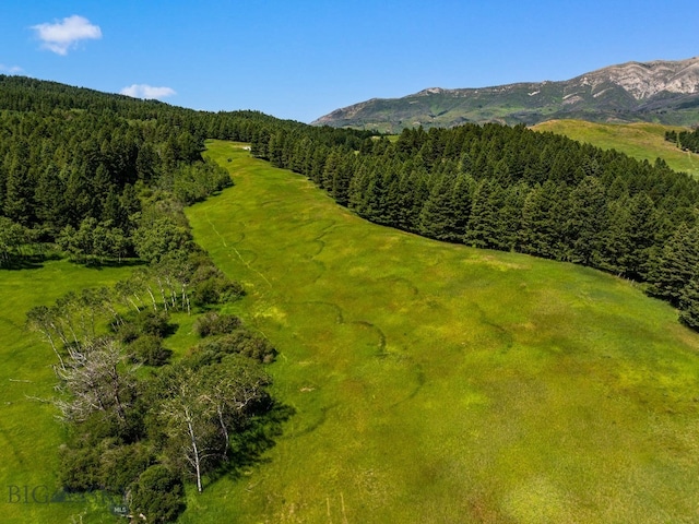 TBD Jackson Creek Rd Parcel B, Unit Parcel B, Bozeman, MT 59715 - photo 12