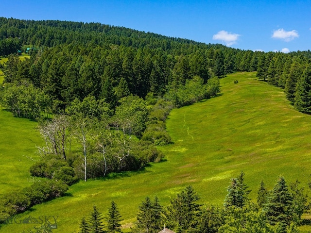 TBD Jackson Creek Rd Parcel B, Unit Parcel B, Bozeman, MT 59715 - photo 13