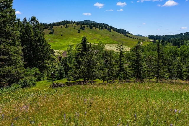 TBD Jackson Creek Rd Parcel B, Unit Parcel B, Bozeman, MT 59715 - photo 20