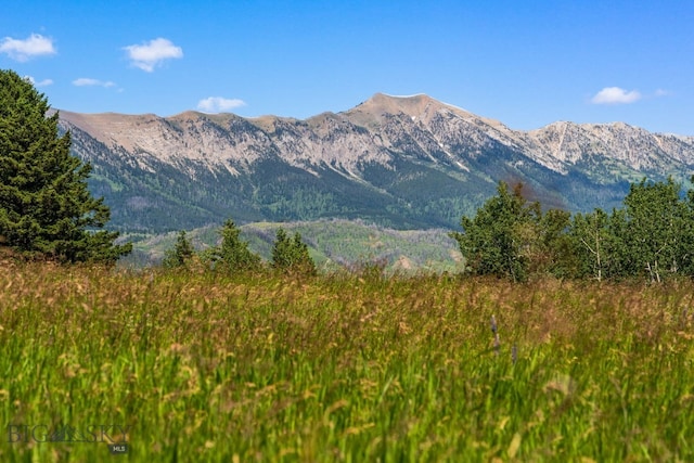 TBD Jackson Creek Rd Parcel B, Unit Parcel B, Bozeman, MT 59715 - photo 6