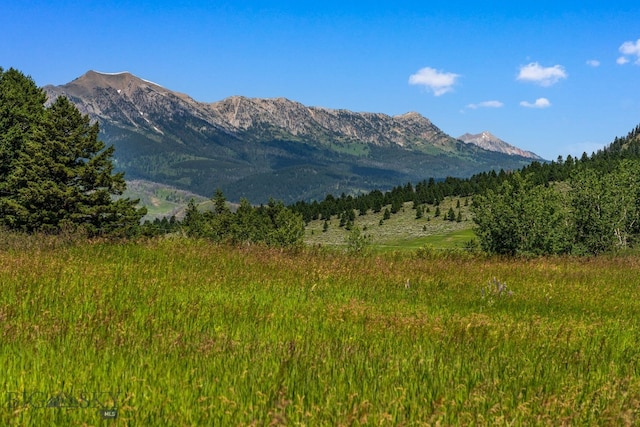 TBD Jackson Creek Rd Parcel B, Unit Parcel B, Bozeman, MT 59715 - photo 30