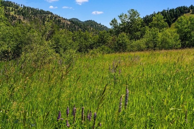 TBD Jackson Creek Rd Parcel B, Unit Parcel B, Bozeman, MT 59715 - photo 35