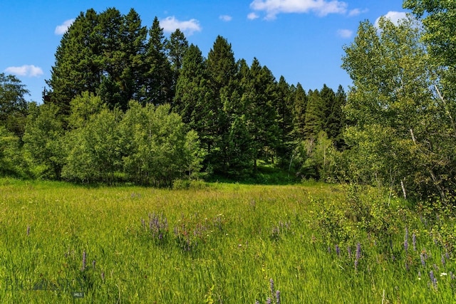 TBD Jackson Creek Rd Parcel B, Unit Parcel B, Bozeman, MT 59715 - photo 36
