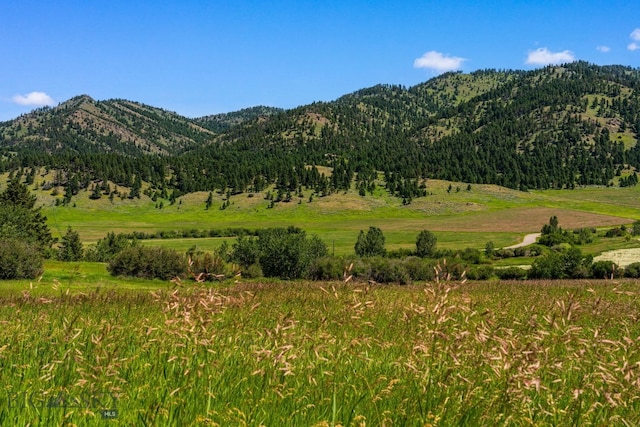 TBD Jackson Creek Rd Parcel B, Unit Parcel B, Bozeman, MT 59715 - photo 28