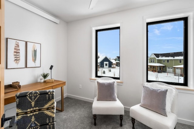 sitting room featuring carpet