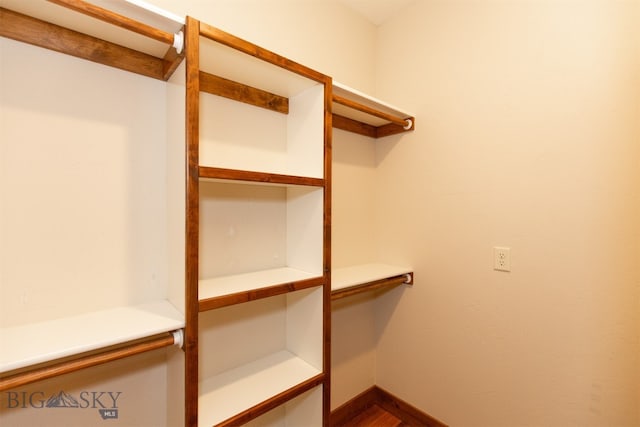 view of spacious closet