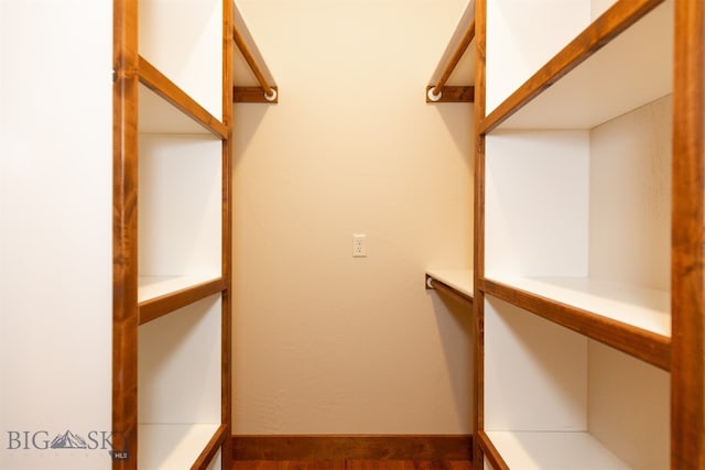 walk in closet featuring hardwood / wood-style floors